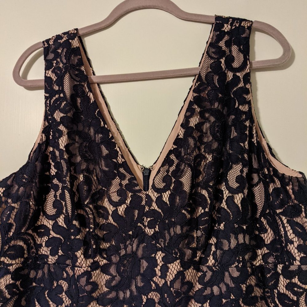 Eliza J Navy Lace Dress 16W